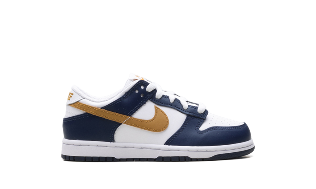 Dunk Low "Navy" FB9108 111