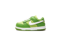 Dunk Low TD "Chlorophyll" DH9761 301