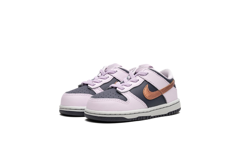 Dunk Low TD "Copper Swoosh" DX1665 400