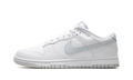 Dunk Low Retro "Pure Platinum" DV0831 101