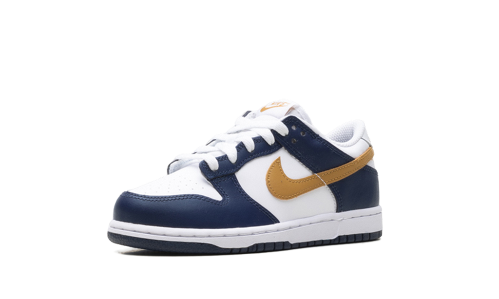 Dunk Low "Navy" FB9108 111