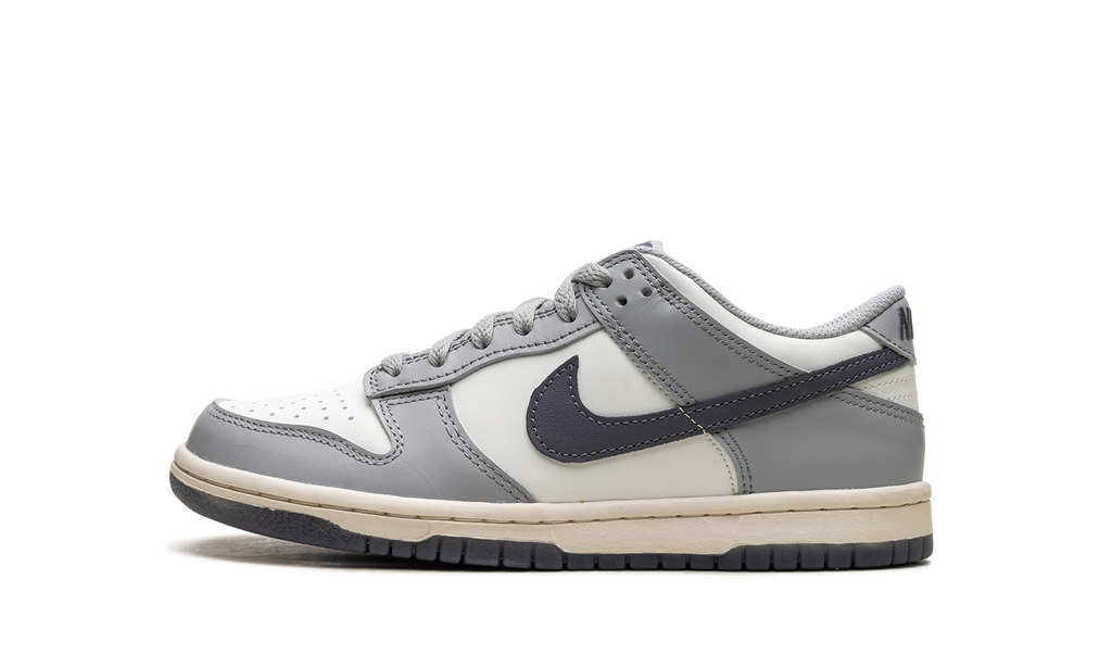 Dunk Low "Light Carbon" FB9109 101