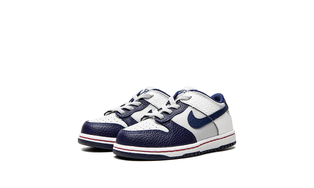 Dunk Low TD "Nets" DC9562 001