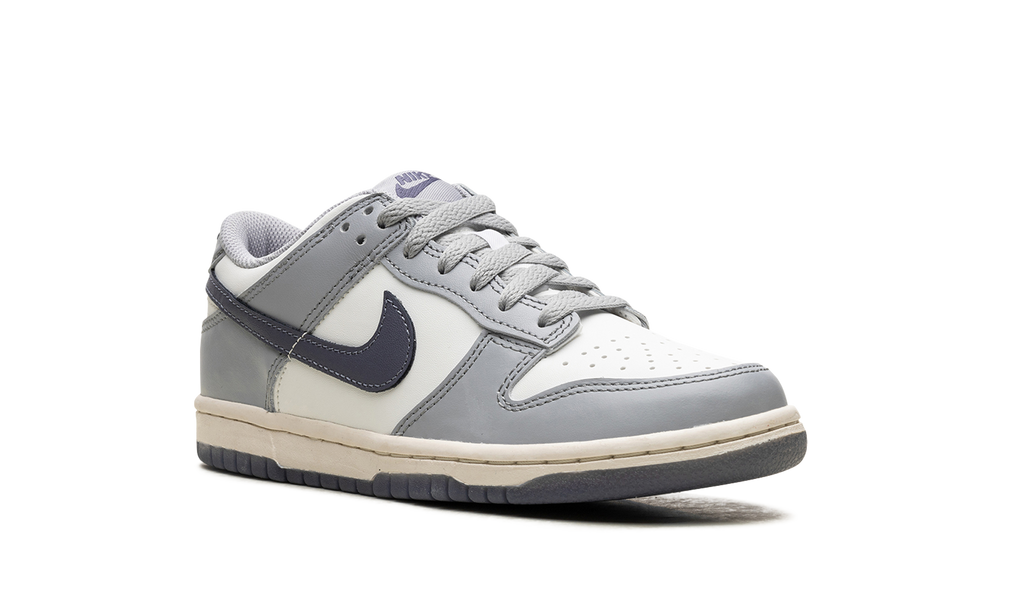 Dunk Low "Light Carbon" FB9109 101
