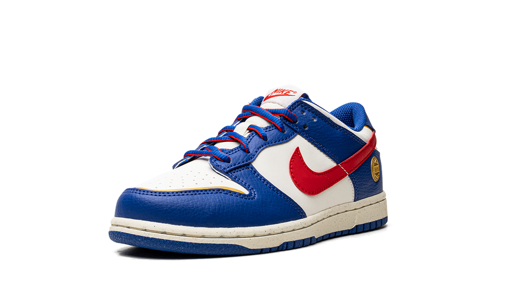 Dunk Low PS NN "Superhero" FD0673 400