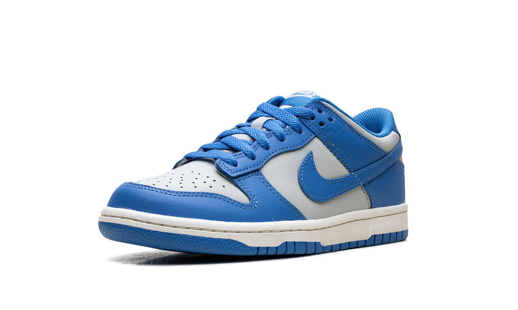 Dunk Low GS "Light Photo Blue" FB9109 004