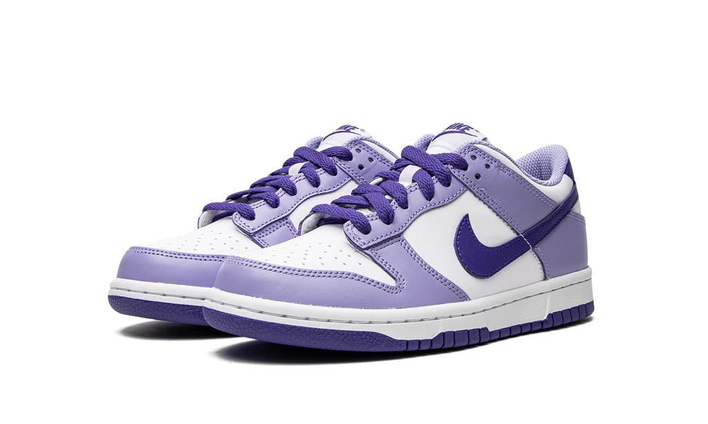 Dunk Low GS "Blueberry" DZ4456 100
