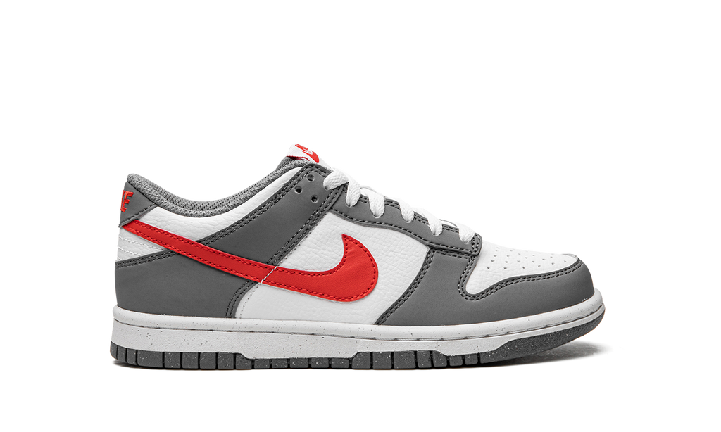 Dunk Low Next Nature GS "Smoke Grey" FB8038 001