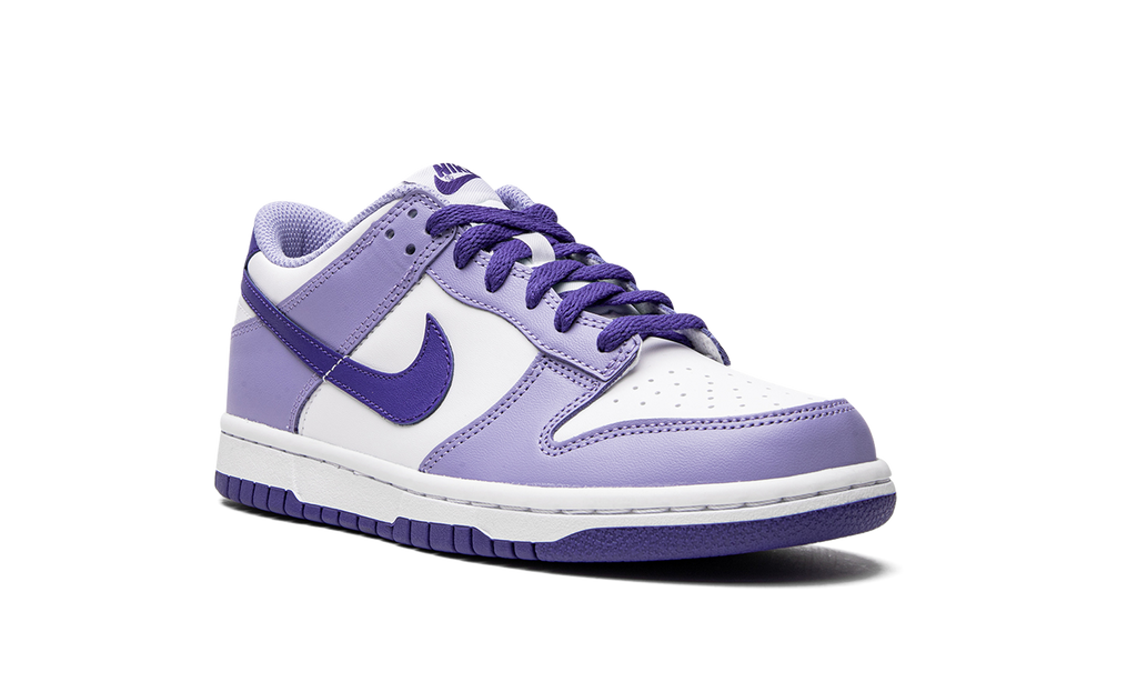 Dunk Low GS "Blueberry" DZ4456 100