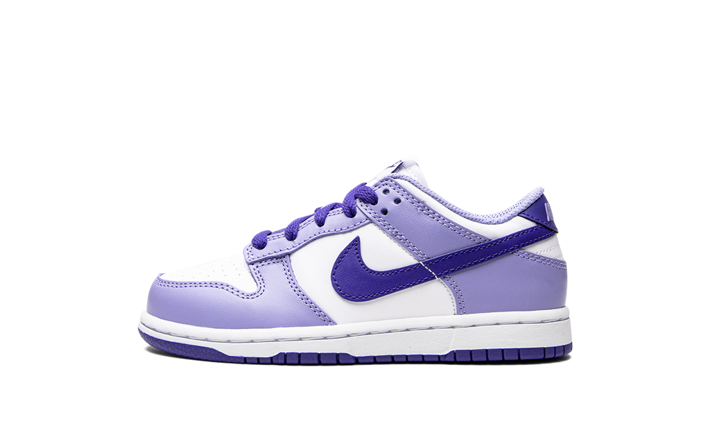 Dunk Low PS "Blueberry" DZ4457 100