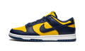 Dunk Low "Michigan" DD1391 700