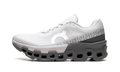 Cloudmonster 2 "Frost Rock" 3ME10122564