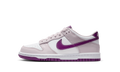 Dunk Low GS "Platinum Violet" FB9109 104