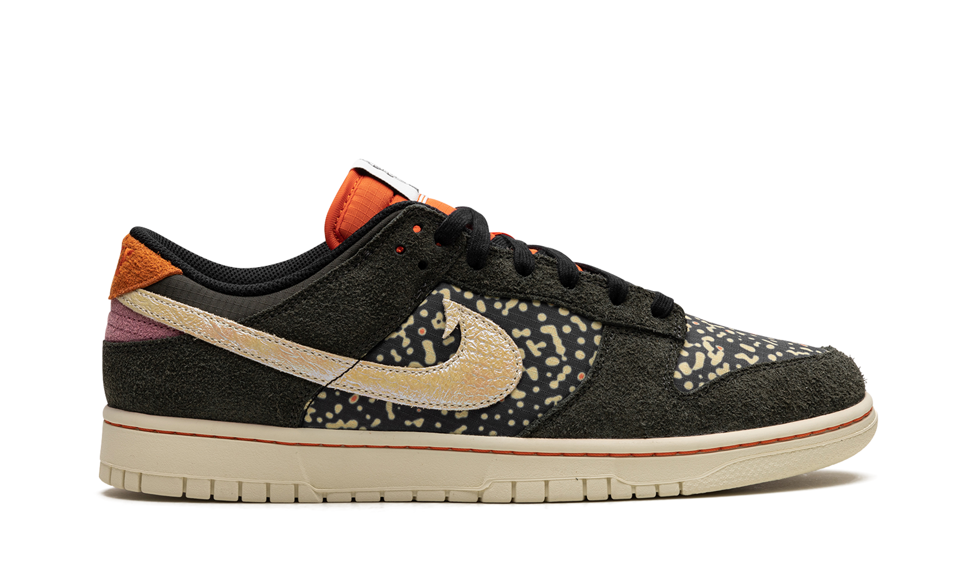 Dunk Low "Trout" FN7523 300