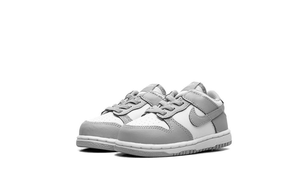 Dunk Low TD "Light Smoke Grey" FB9107 123