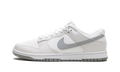 Dunk Low Retro "Summit White Light Smoke Grey" DV0831 106