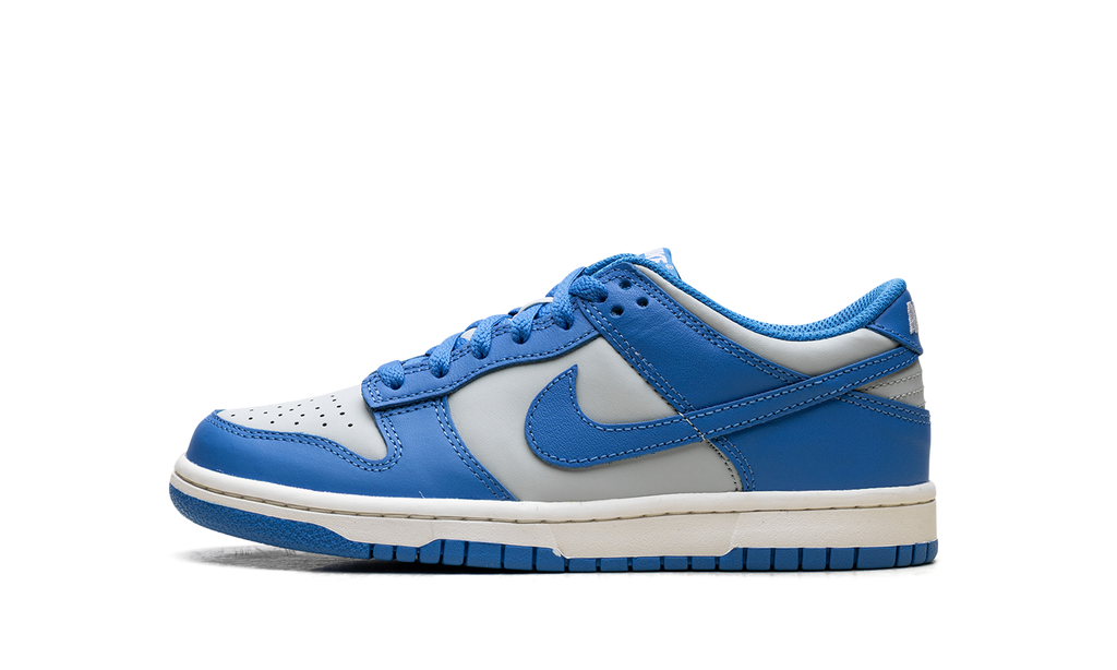 Dunk Low GS "Light Photo Blue" FB9109 004