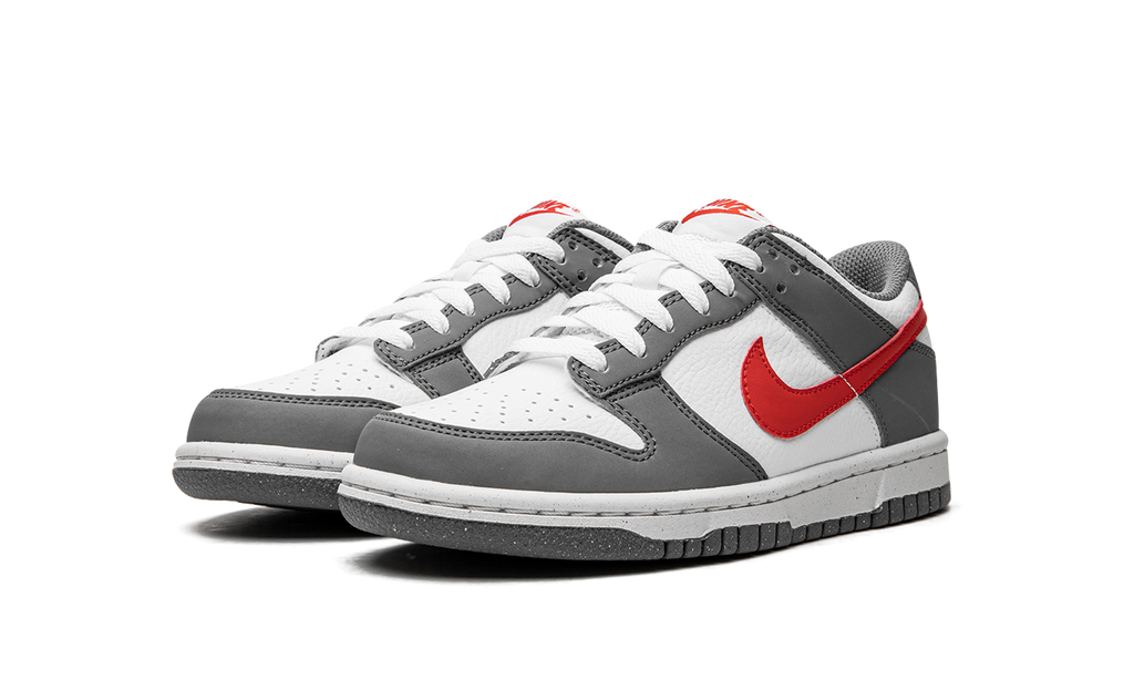 Dunk Low Next Nature GS "Smoke Grey" FB8038 001