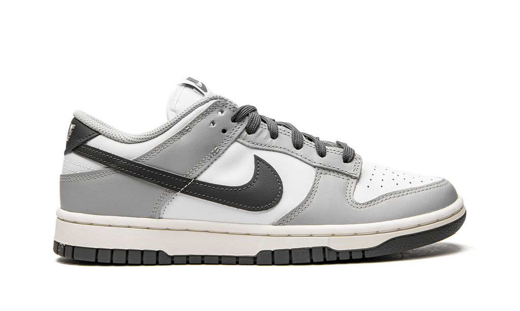 DUNK LO MNS WMNS "Light Smoke Grey" DD1503 117