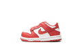 Dunk Low "Archaeo Pink" DC9562 111