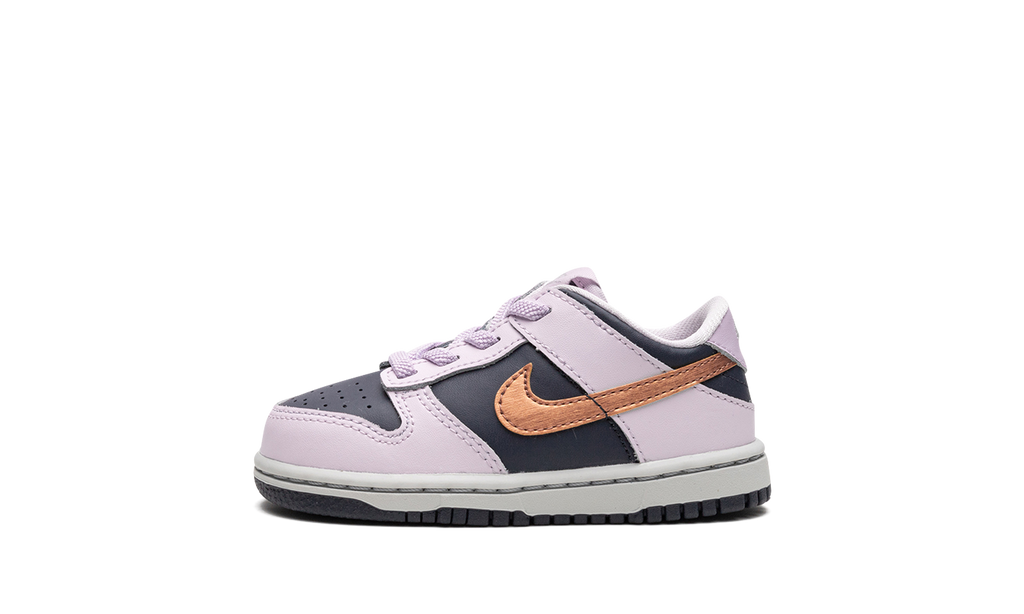 Dunk Low TD "Copper Swoosh" DX1665 400