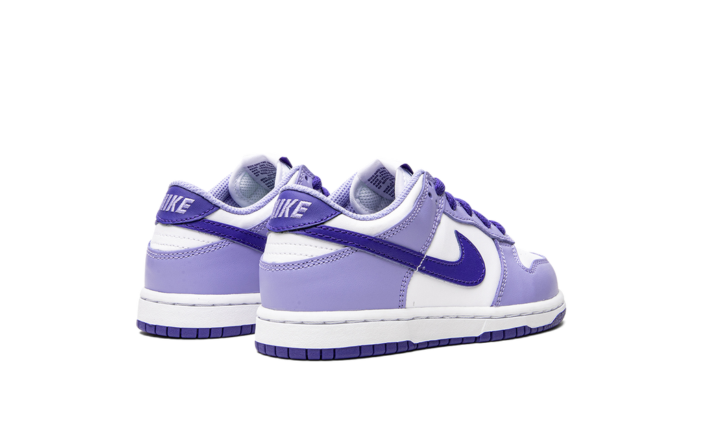 Dunk Low PS "Blueberry" DZ4457 100