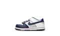 Dunk Low TD "Nets" DC9562 001
