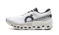 Cloudmonster 2 WMNS "White Frost" 3WE10110664