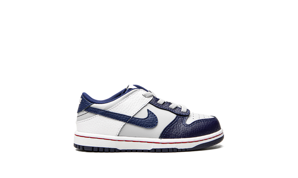 Dunk Low TD "Nets" DC9562 001