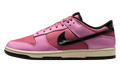Dunk Low Retro "Donut" IM4415 600