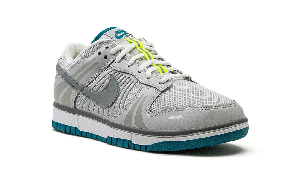 DUNK LO SE WMNS "Vomero - Timeless" FJ5473 099