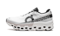 Cloudmonster 2 "White Frost" 3ME10120664