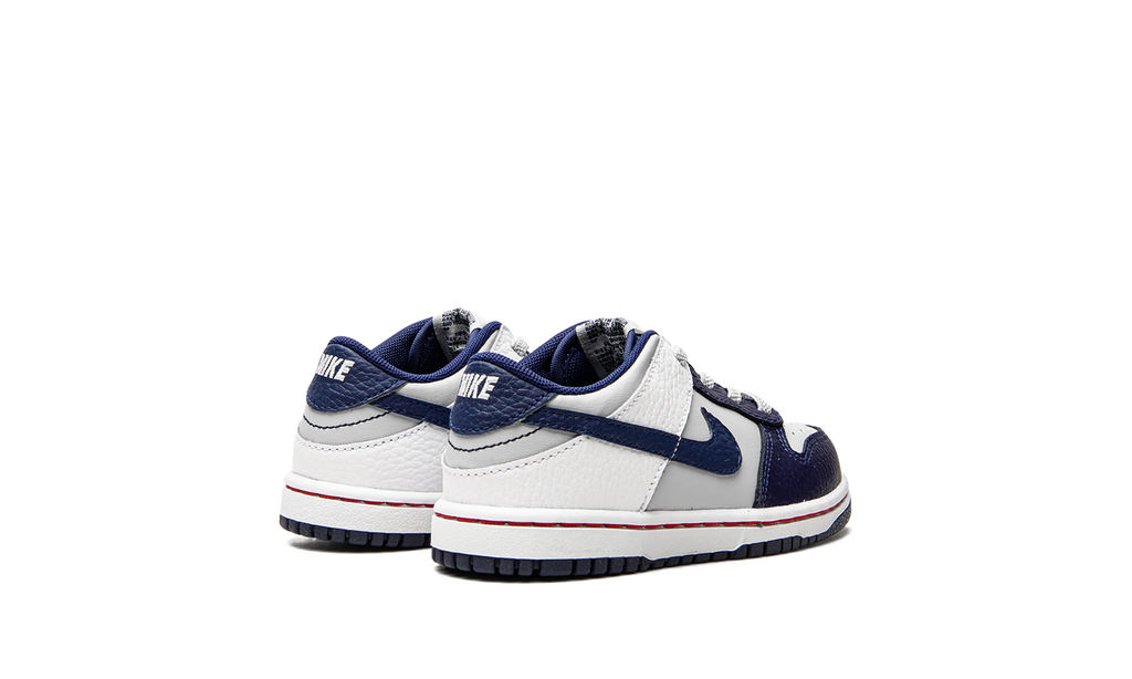Dunk Low TD "Nets" DC9562 001