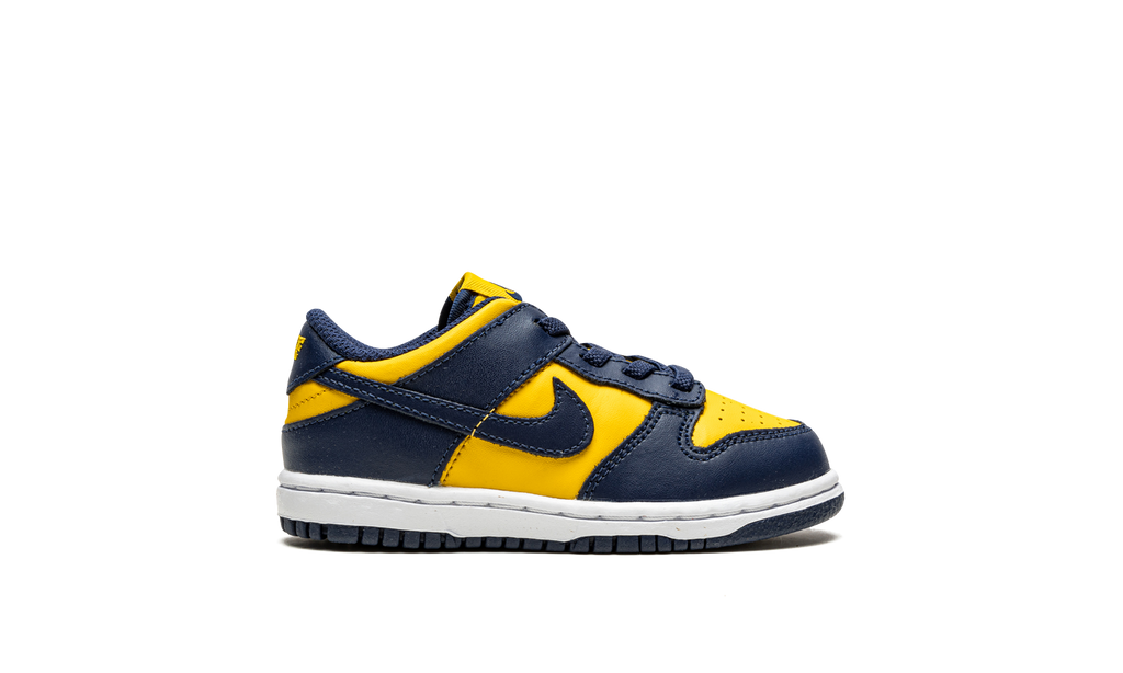 Dunk Low TD "Michigan" CW1589 700