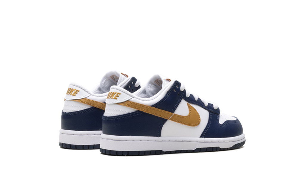 Dunk Low "Navy" FB9108 111