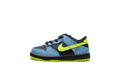 Dunk TD "Acid Wash" DV1697 900