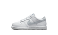 Dunk Low PS "White Pure Platinum" DH9756 102