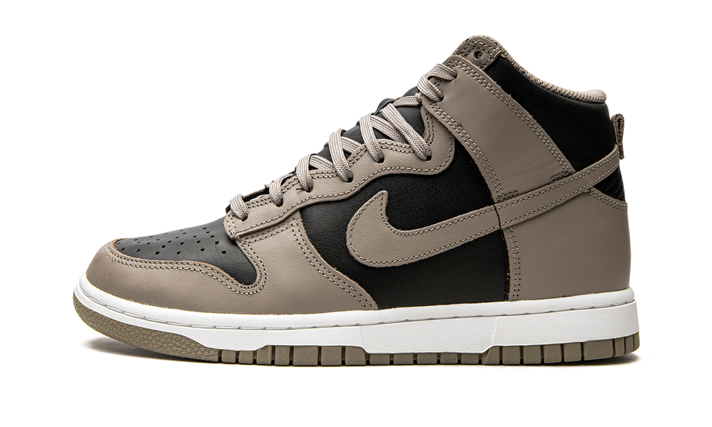 DUNK HIGH WMNS "Moon Fossil" DD1869 002