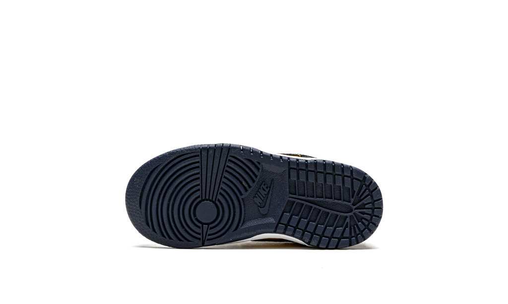 Dunk Low TD "Michigan" CW1589 700