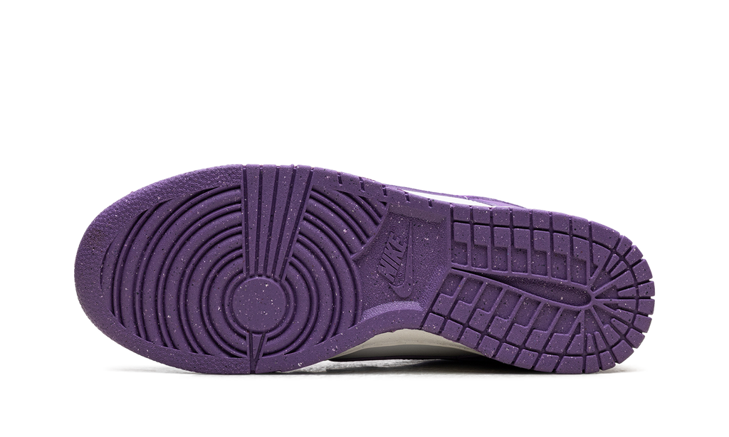 Dunk Low WMNS "Black Raspberry" DD1873 108