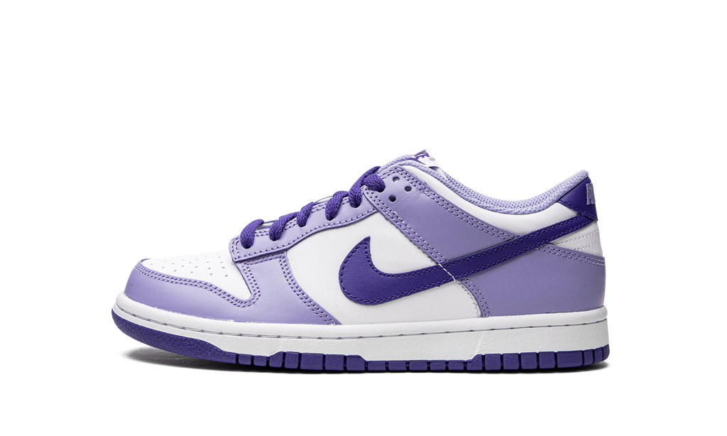 Dunk Low GS "Blueberry" DZ4456 100