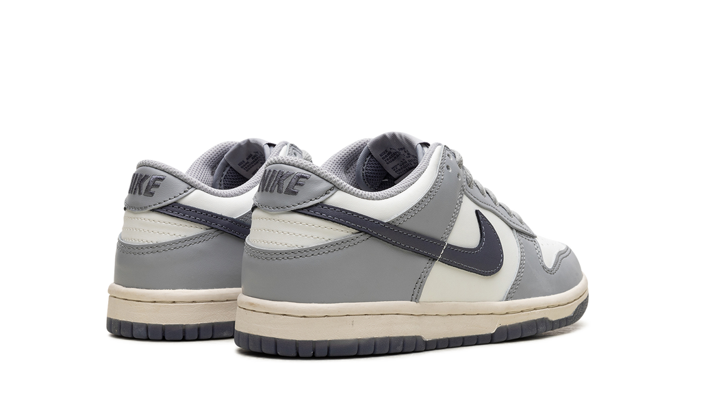 Dunk Low "Light Carbon" FB9109 101