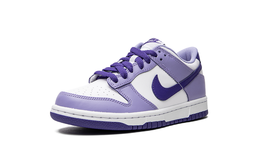 Dunk Low GS "Blueberry" DZ4456 100