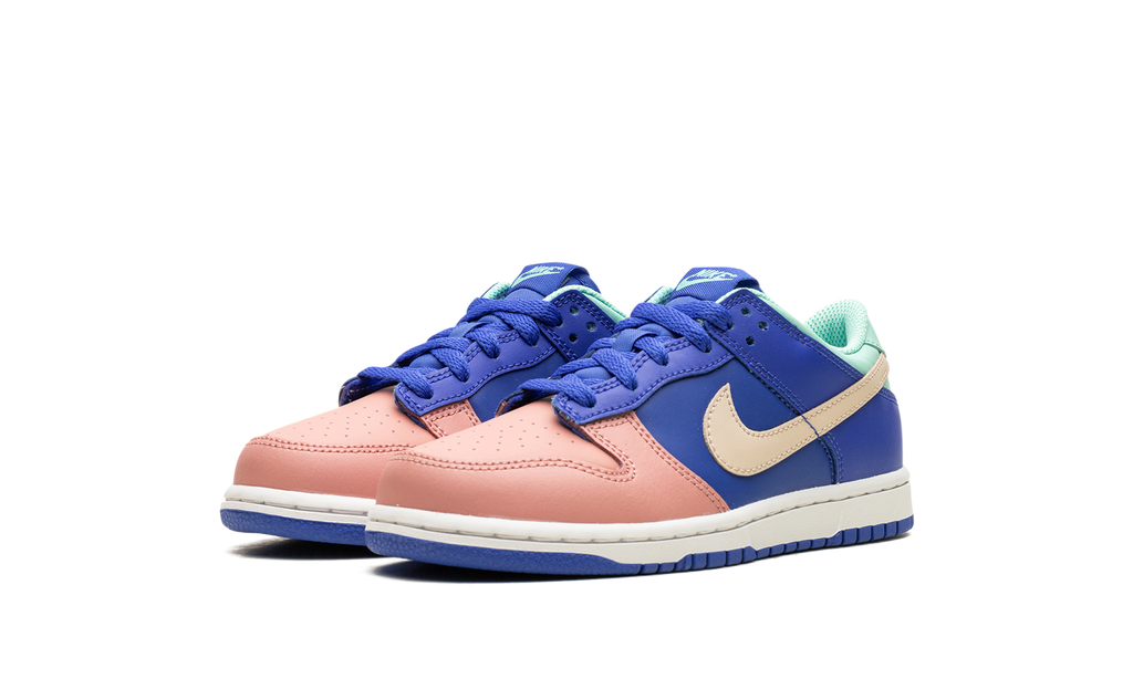 Dunk Low SE PS "SALMON TOE" DZ2874 400