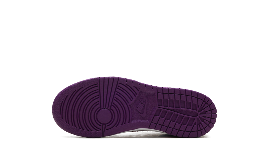 Dunk Low PS "Viotech White" FB9108 110