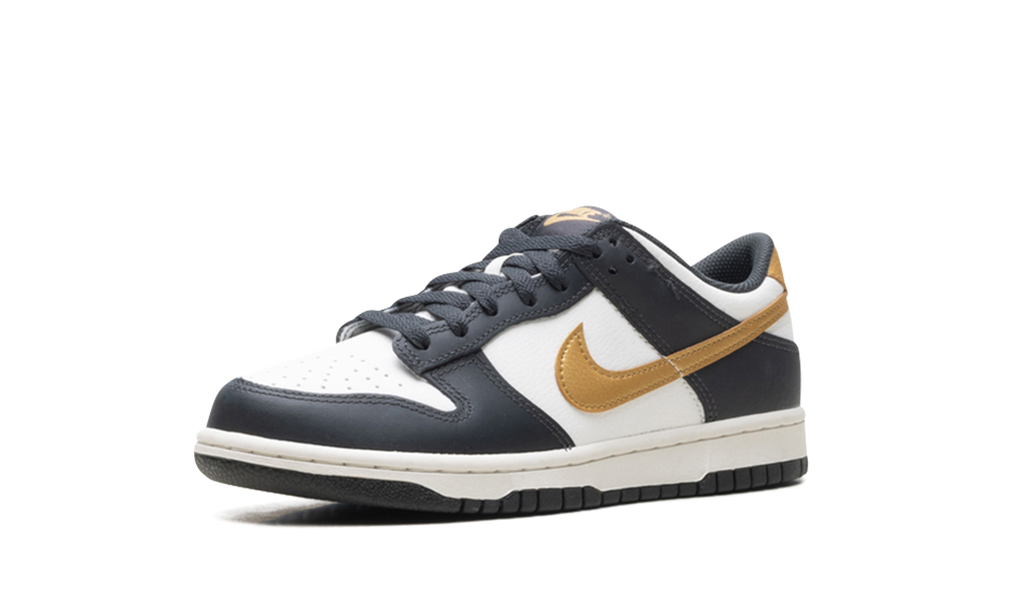 Dunk Low GS "Summit White Metallic Gold" HV2533 100
