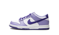 Dunk Low GS "Blueberry" DZ4456 100