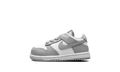 Dunk Low TD "Light Smoke Grey" FB9107 123