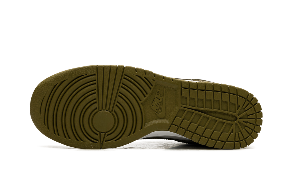 Dunk Low "Pacific Moss" DV0833 105