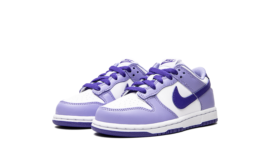 Dunk Low PS "Blueberry" DZ4457 100